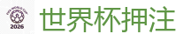 2026世界杯在线投注官网